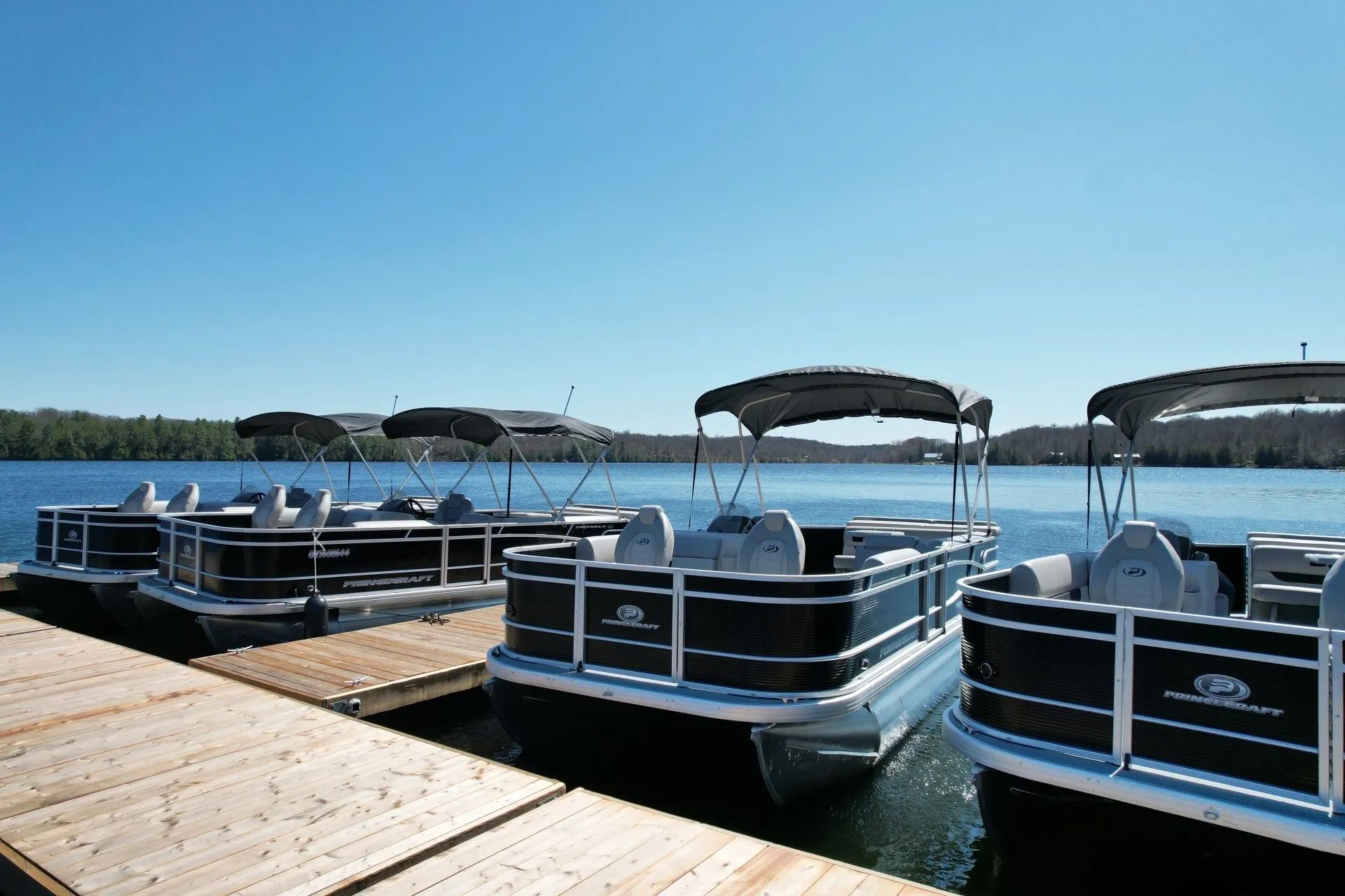 boats